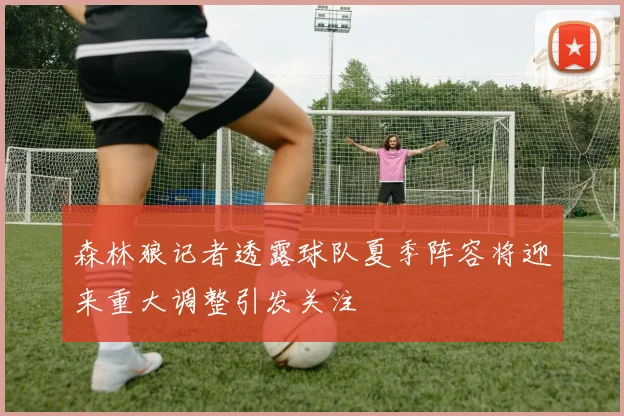 森林狼记者透露球队夏季阵容将迎来重大调整引发关注