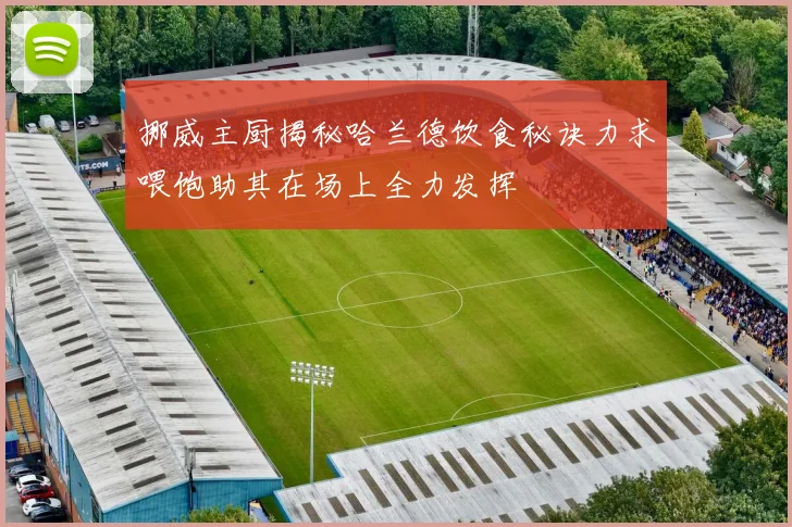 挪威主厨揭秘哈兰德饮食秘诀力求喂饱助其在场上全力发挥